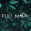 FullMoon Poker Club logo